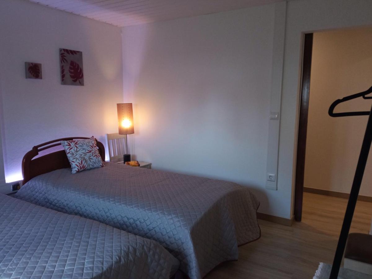 Azevinho Guest House Seia Exterior photo